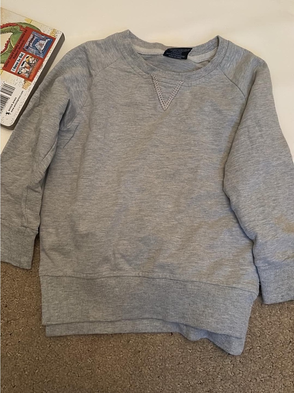 EUC 18-24m Little Bipsy pullover shirt